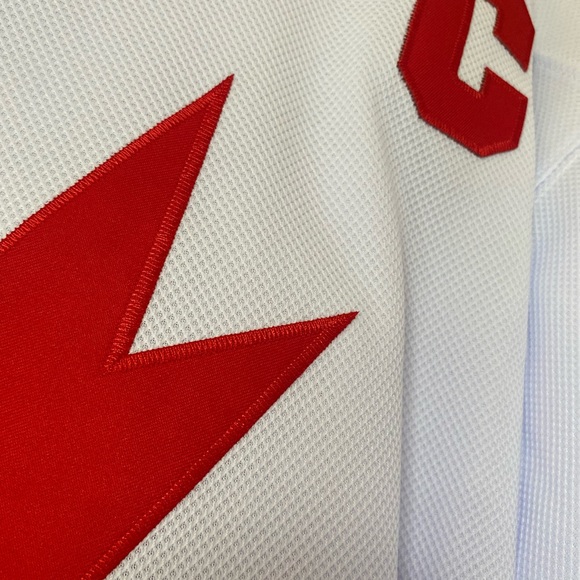 embroidered Captain Wayne  gretzky canada hockey jersey w/ fighting strap lg - Picture 3 of 4